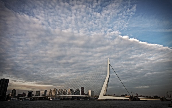 _IGP2495 copy